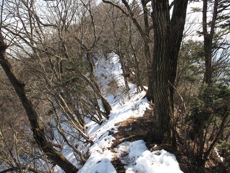 20160128hike (223)